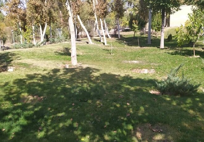 ۴۰ اصله درخت خطر آفرین در پارک مشتاق دوم اصفهان قطع شد/جمع آوری کنده‌ها