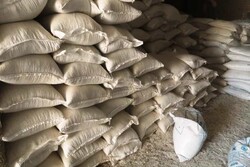 ۲۹۰۰ تن کود شیمیایی بین کشاورزان استان بوشهر توزیع شد