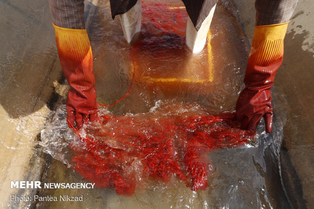 Traditional dyeing in SW Iran
