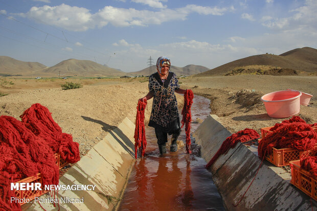 Traditional dyeing in SW Iran
