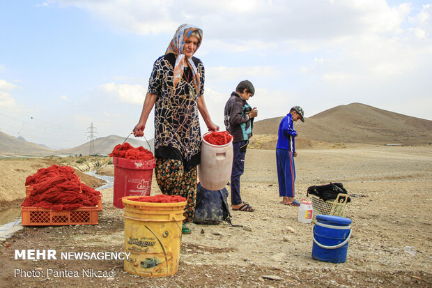 Traditional dyeing in SW Iran
