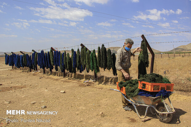 Traditional dyeing in SW Iran
