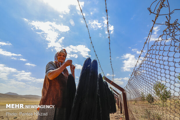 Traditional dyeing in SW Iran
