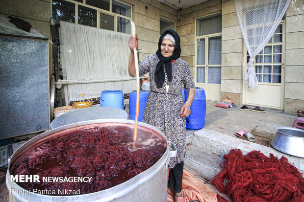 Traditional dyeing in SW Iran
