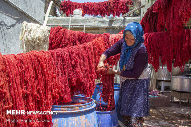 Traditional dyeing in SW Iran
