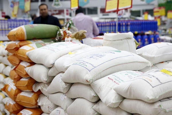 ۱۰۰۰ تن برنج در چهارمحال و بختیاری ذخیره سازی شد
