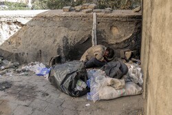تمامی معتادان متجاهر و کارتن خواب در شیراز ساماندهی می شوند