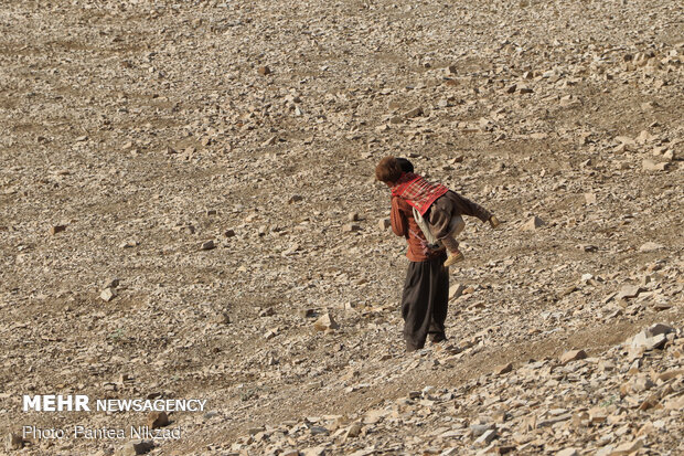 A peek into nomad’s lifestyle in SW Iran