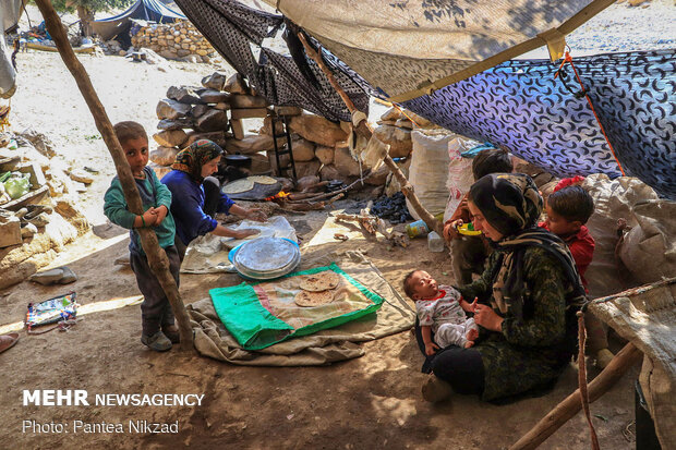 A peek into nomad’s lifestyle in SW Iran