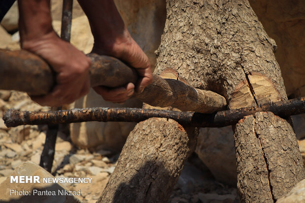 A peek into nomad’s lifestyle in SW Iran