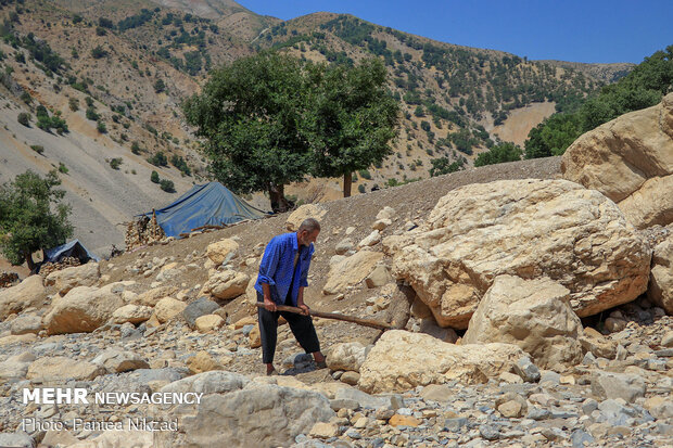 A peek into nomad’s lifestyle in SW Iran