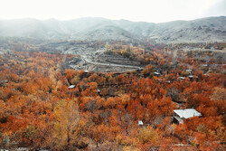 یاری ڕەنگەکان لە پاییز