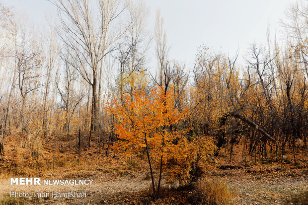 Breathtaking scenery of Autumn in Hamadan