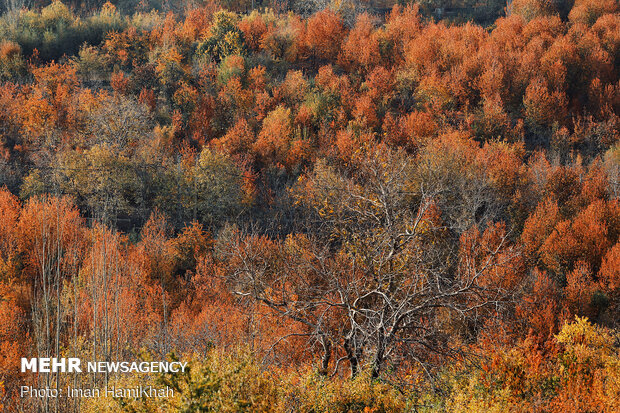 Breathtaking scenery of Autumn in Hamadan