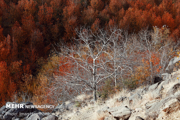 Breathtaking scenery of Autumn in Hamadan