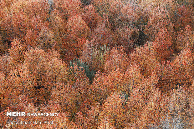 Breathtaking scenery of Autumn in Hamadan