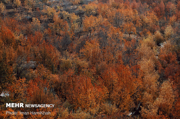 Breathtaking scenery of Autumn in Hamadan