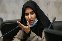 واکنش فراکسیون زنان مجلس درباره ازدواج بین المللی دختران ایرانی