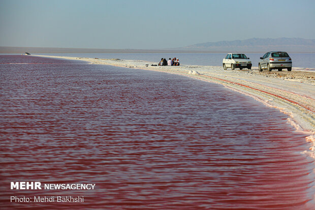 سرخ شدن دریاچه نمک قم، یک پدیده طبیعی است که هر چند سال یکبار اتفاق می‌افتد؛ افزایش نوعی جلبک در این دریاچه‌ منجر به سرخ شدن آن می شود که این پدیده موجب توجه گردشگران قرار می گیرد.