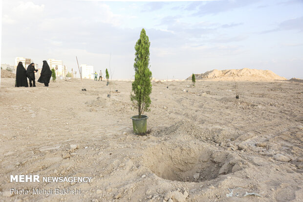 کاشت ١٠٠ اصله درختچه در محوطه پایانه مرز خسروی