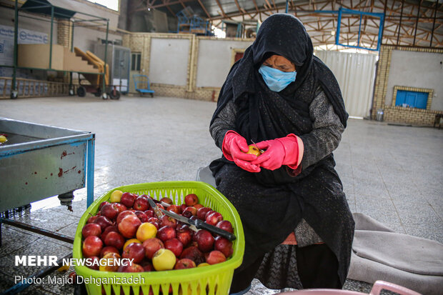 شستشوی سیب ها برای آبگیری توسط حاج نصرت