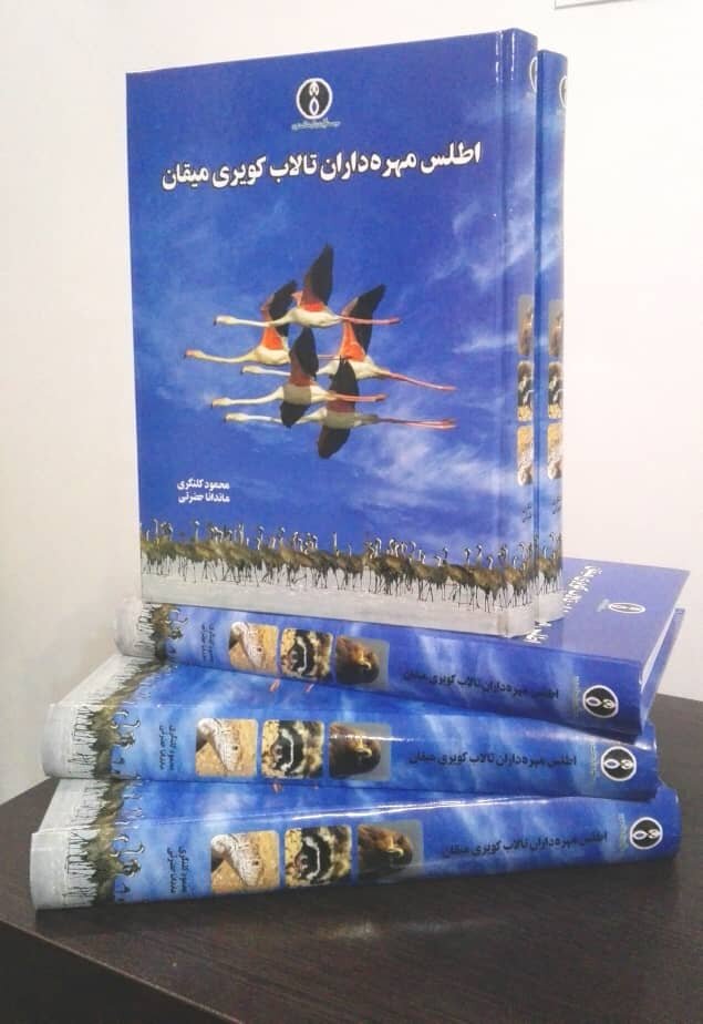 گردآوری جلوه های بی مانند «تالاب میقان» با چاشنی عشق 3