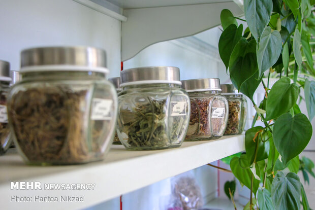Iranian medicinal herbs

