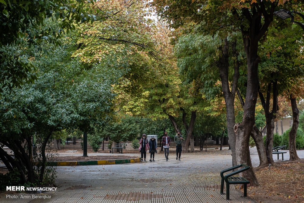 بارش نخستین باران پاییزی در شیراز