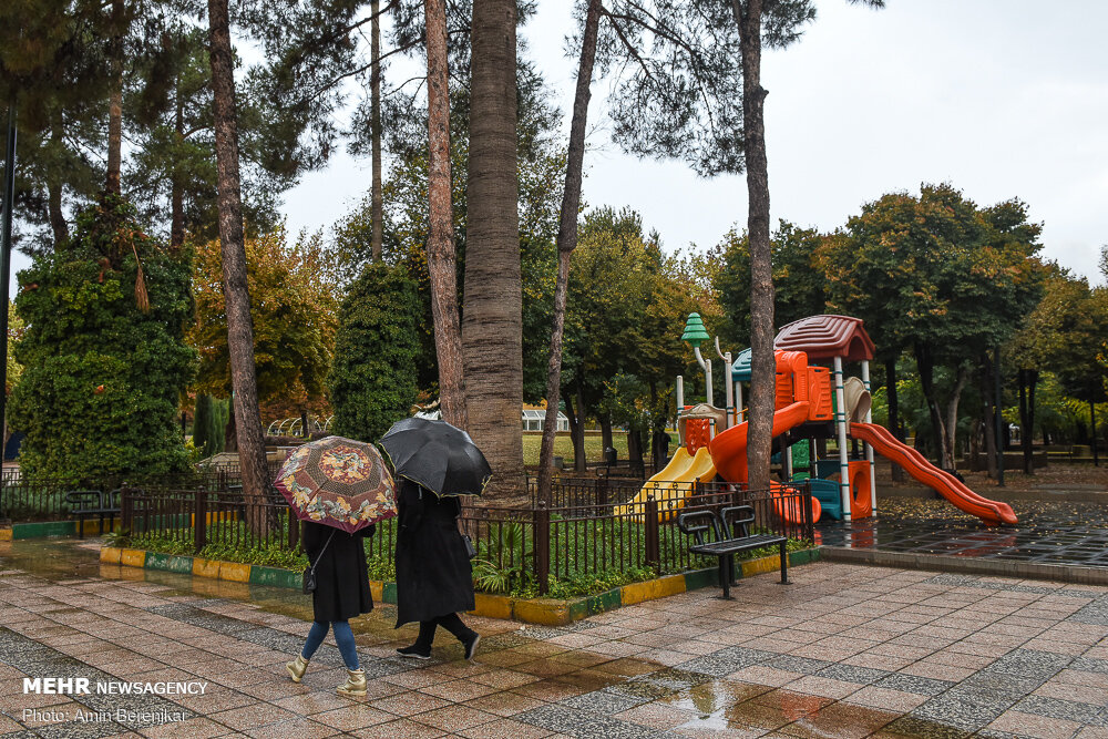 بارش نخستین باران پاییزی در شیراز