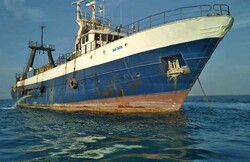 دو فروند کشتی قاچاق صید غیرمجاز ترال در بندر جاسک توقیف شد