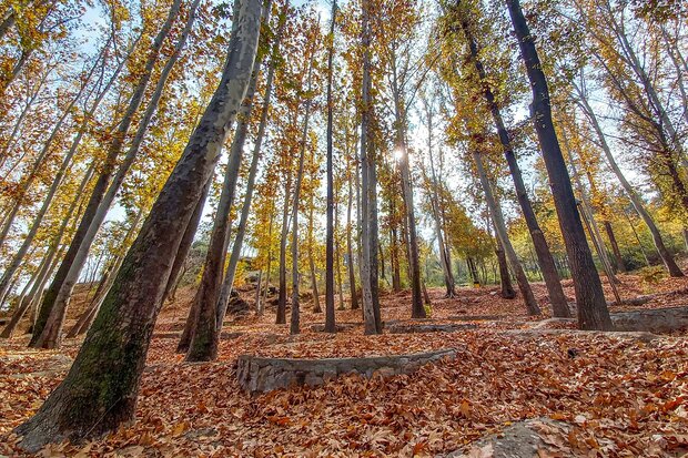 Kuzey Horasan'da büyüleyici sonbahar fotoğrafları