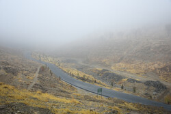 مه غلیظ جاده های زنجان را فرا گرفته است
