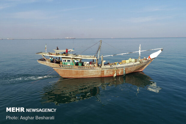 Shrimp harvest near Qeshm Island
