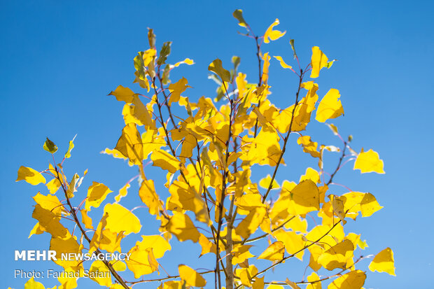 Amazing nature of "Alamut" in Autumn days