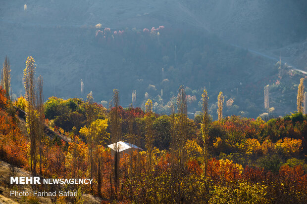 Amazing nature of "Alamut" in Autumn days