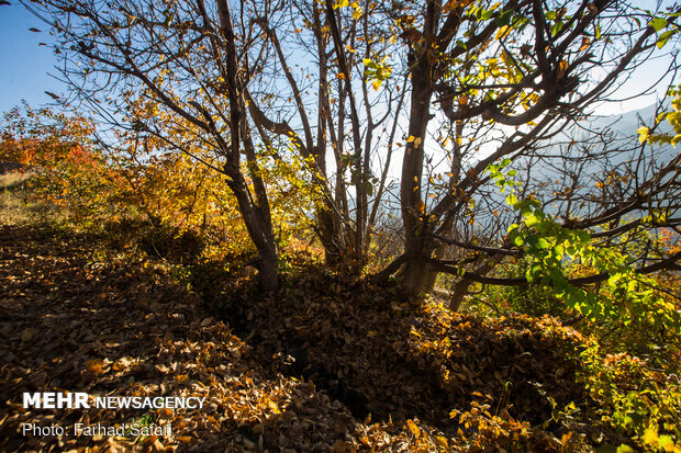 Amazing nature of "Alamut" in Autumn days