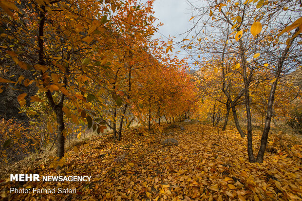 Amazing nature of "Alamut" in Autumn days