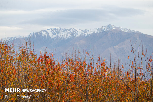 Amazing nature of "Alamut" in Autumn days