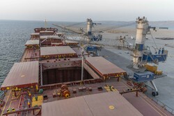 'Iran self-reliant in port construction sector'