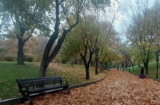 ایجاد گذر برگ ریزان در پارک ملت 