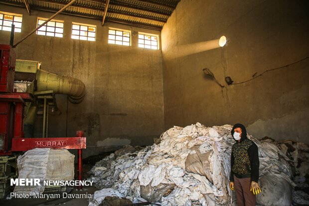 Traditional cotton harvest in North Khorasan province
