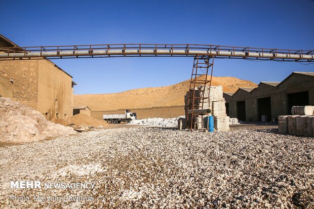 Traditional cotton harvest in North Khorasan province
