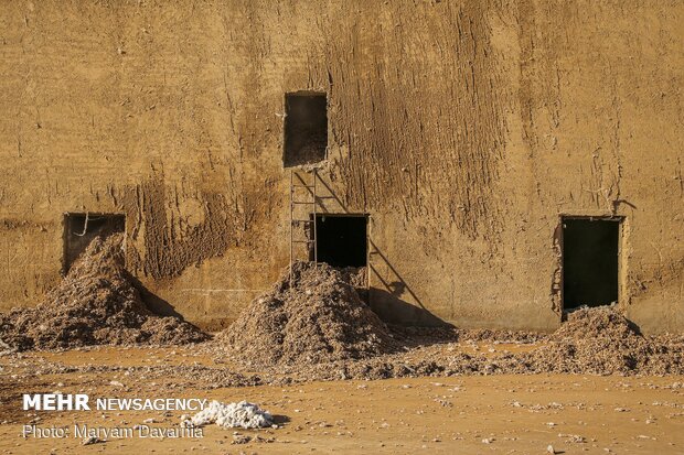 Traditional cotton harvest in North Khorasan province
