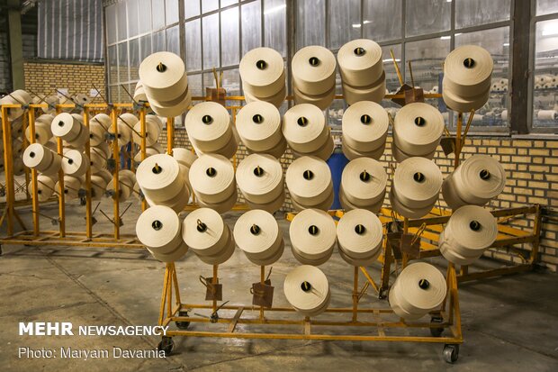 Traditional cotton harvest in North Khorasan province
