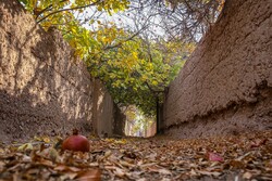 Autumn in thatched alleys of Yazd