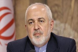 'Shameful' that some refuse to stand against terrorism: Zarif