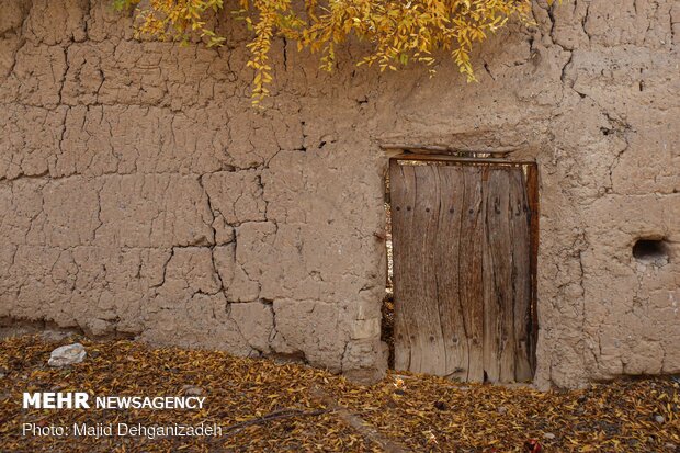 Autumn in thatched alleys of Yazd
