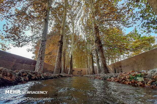 Autumn in thatched alleys of Yazd