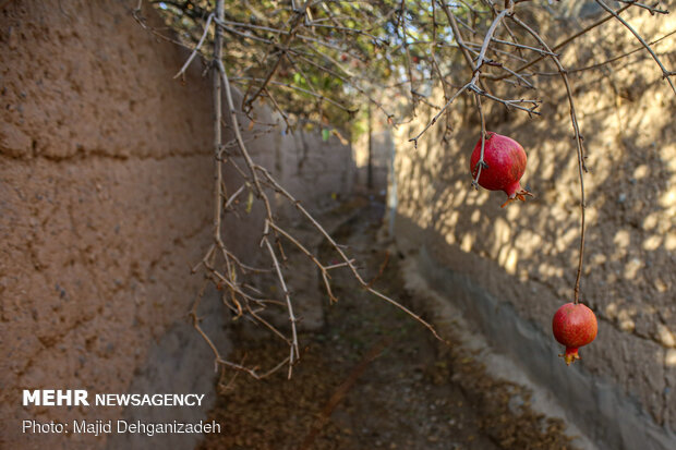 Autumn in thatched alleys of Yazd