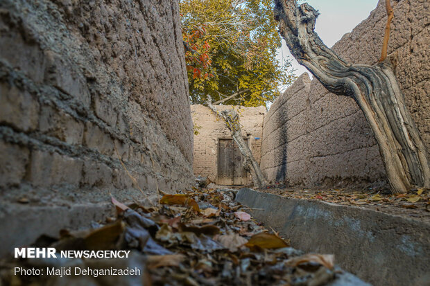 Autumn in thatched alleys of Yazd